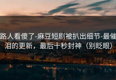 路人看傻了-麻豆短剧被扒出细节-最催泪的更新，最后十秒封神（别眨眼）