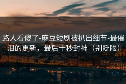 路人看傻了-麻豆短剧被扒出细节-最催泪的更新，最后十秒封神（别眨眼）