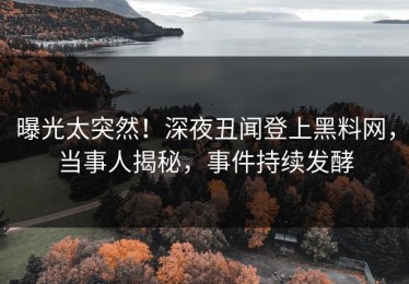 曝光太突然！深夜丑闻登上黑料网，当事人揭秘，事件持续发酵