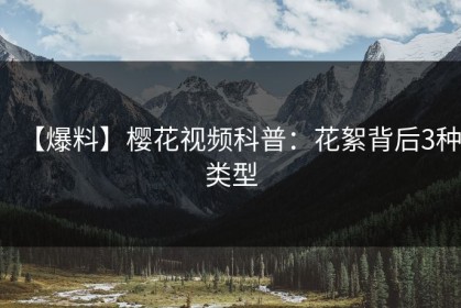 【爆料】樱花视频科普：花絮背后3种类型