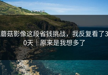 蘑菇影像这段省钱挑战，我反复看了30天｜原来是我想多了