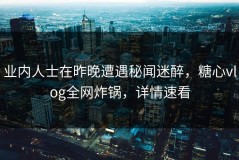 业内人士在昨晚遭遇秘闻迷醉，糖心vlog全网炸锅，详情速看