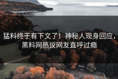 猛料终于有下文了！神秘人现身回应，黑料网热议网友直呼过瘾