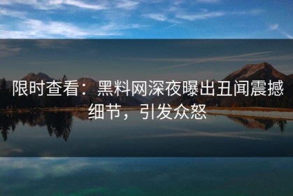 限时查看：黑料网深夜曝出丑闻震撼细节，引发众怒