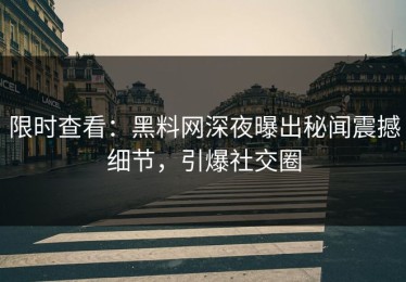 限时查看：黑料网深夜曝出秘闻震撼细节，引爆社交圈