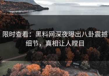 限时查看：黑料网深夜曝出八卦震撼细节，真相让人瞠目