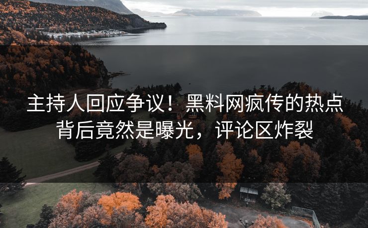 主持人回应争议！黑料网疯传的热点背后竟然是曝光，评论区炸裂