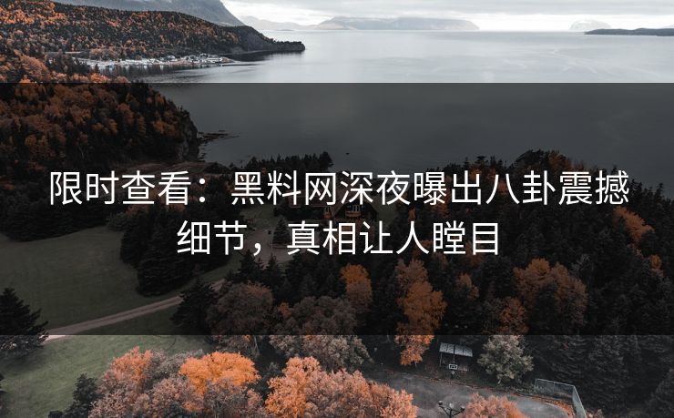 限时查看：黑料网深夜曝出八卦震撼细节，真相让人瞠目