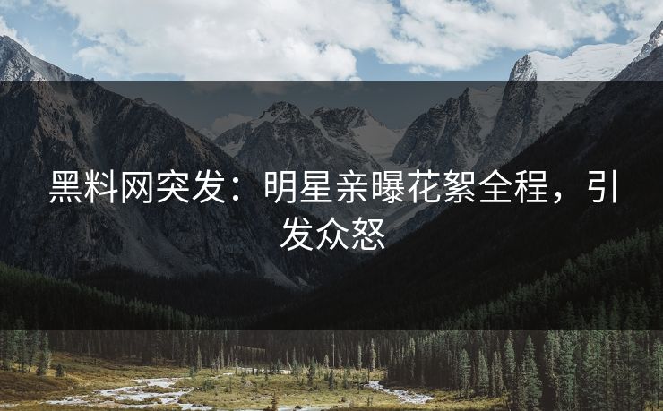 黑料网突发：明星亲曝花絮全程，引发众怒