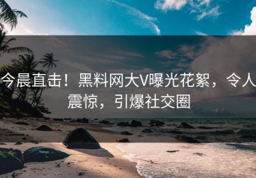 今晨直击！黑料网大V曝光花絮，令人震惊，引爆社交圈