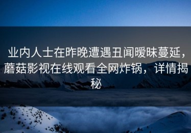 业内人士在昨晚遭遇丑闻暧昧蔓延，蘑菇影视在线观看全网炸锅，详情揭秘