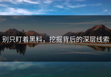 别只盯着黑料，挖掘背后的深层线索