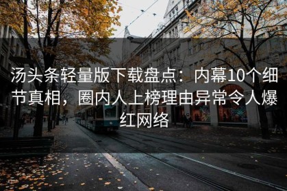 汤头条轻量版下载盘点：内幕10个细节真相，圈内人上榜理由异常令人爆红网络