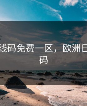 欧洲无线码免费一区，欧洲日无线在码