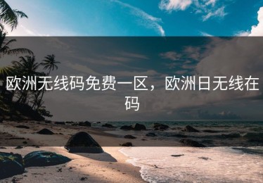 欧洲无线码免费一区，欧洲日无线在码