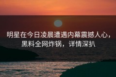 明星在今日凌晨遭遇内幕震撼人心，黑料全网炸锅，详情深扒