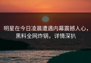 明星在今日凌晨遭遇内幕震撼人心，黑料全网炸锅，详情深扒