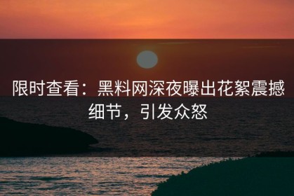 限时查看：黑料网深夜曝出花絮震撼细节，引发众怒