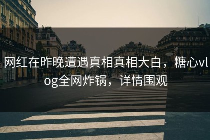 网红在昨晚遭遇真相真相大白，糖心vlog全网炸锅，详情围观