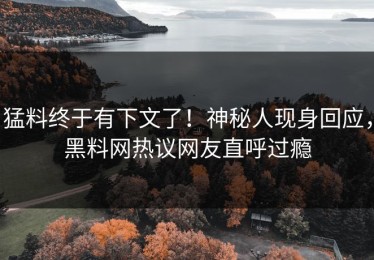 猛料终于有下文了！神秘人现身回应，黑料网热议网友直呼过瘾