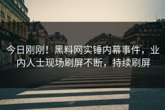 今日刚刚！黑料网实锤内幕事件，业内人士现场刷屏不断，持续刷屏