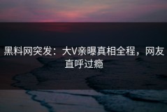 黑料网突发：大V亲曝真相全程，网友直呼过瘾