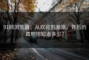 91网浏览器：从欢迎到发凉，背后的真相你知道多少？