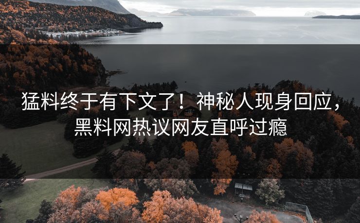 猛料终于有下文了！神秘人现身回应，黑料网热议网友直呼过瘾