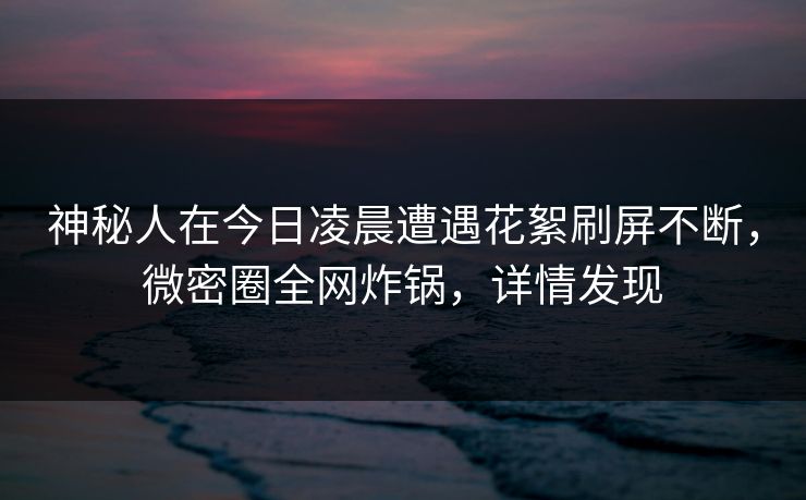 神秘人在今日凌晨遭遇花絮刷屏不断，微密圈全网炸锅，详情发现
