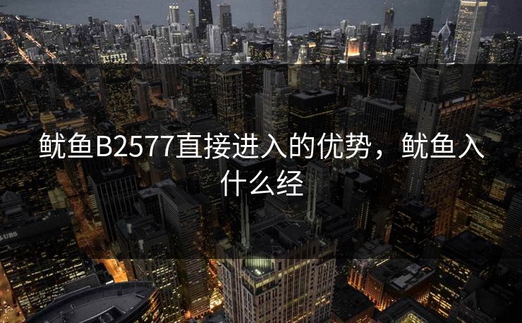 鱿鱼B2577直接进入的优势，鱿鱼入什么经